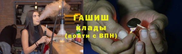шишки Арсеньев