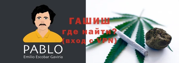 шишки Арсеньев