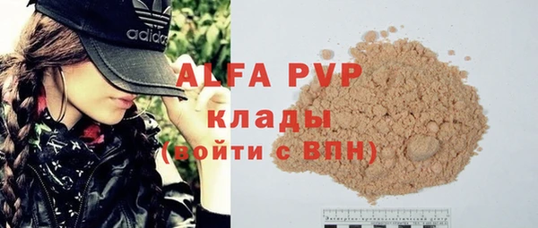 шишки Арсеньев