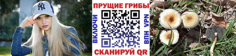 Галлюциногенные грибы мухоморы  mega онион  Углич  купить наркотики цена 